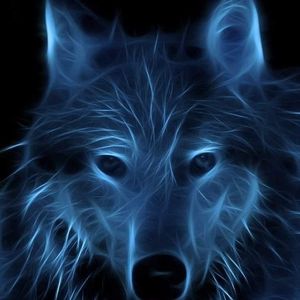 Meet your Posher, Yaya